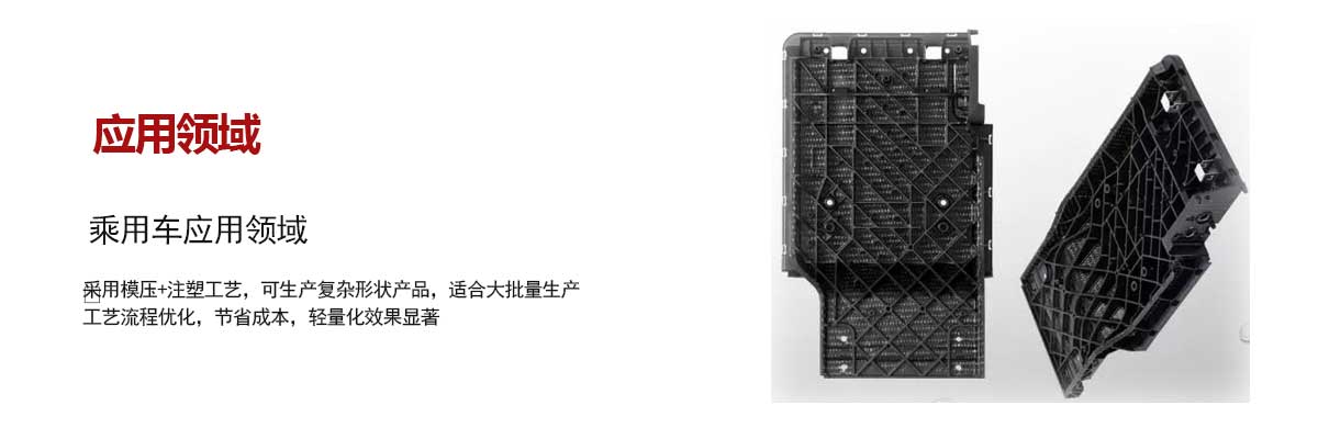 乘用車(chē)應用領(lǐng)域